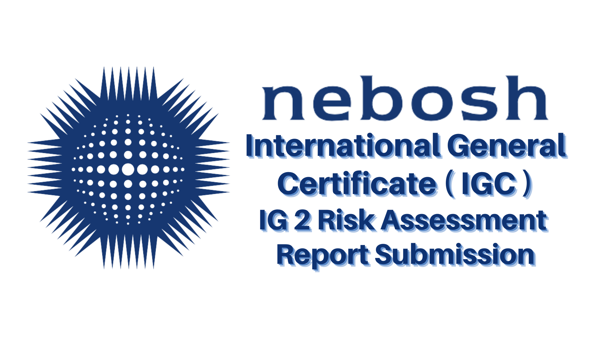 NEBOSH IG2 Risk Assessment Report  Submission